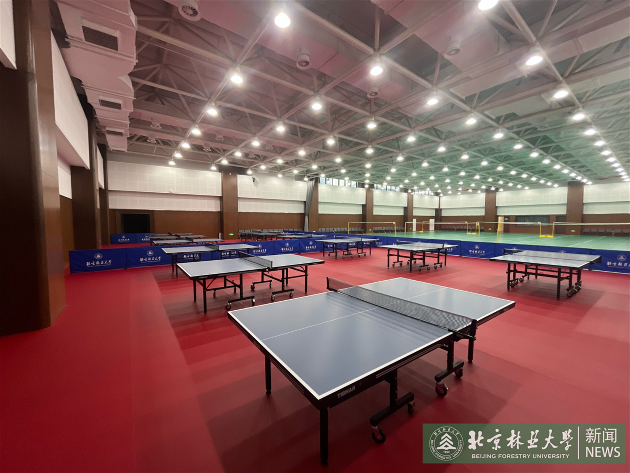 BFU Sport Facilities 2