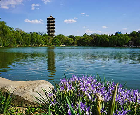 PKU Lake