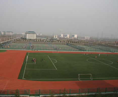 SEU field