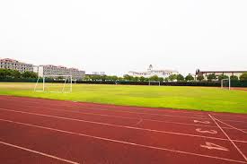 field