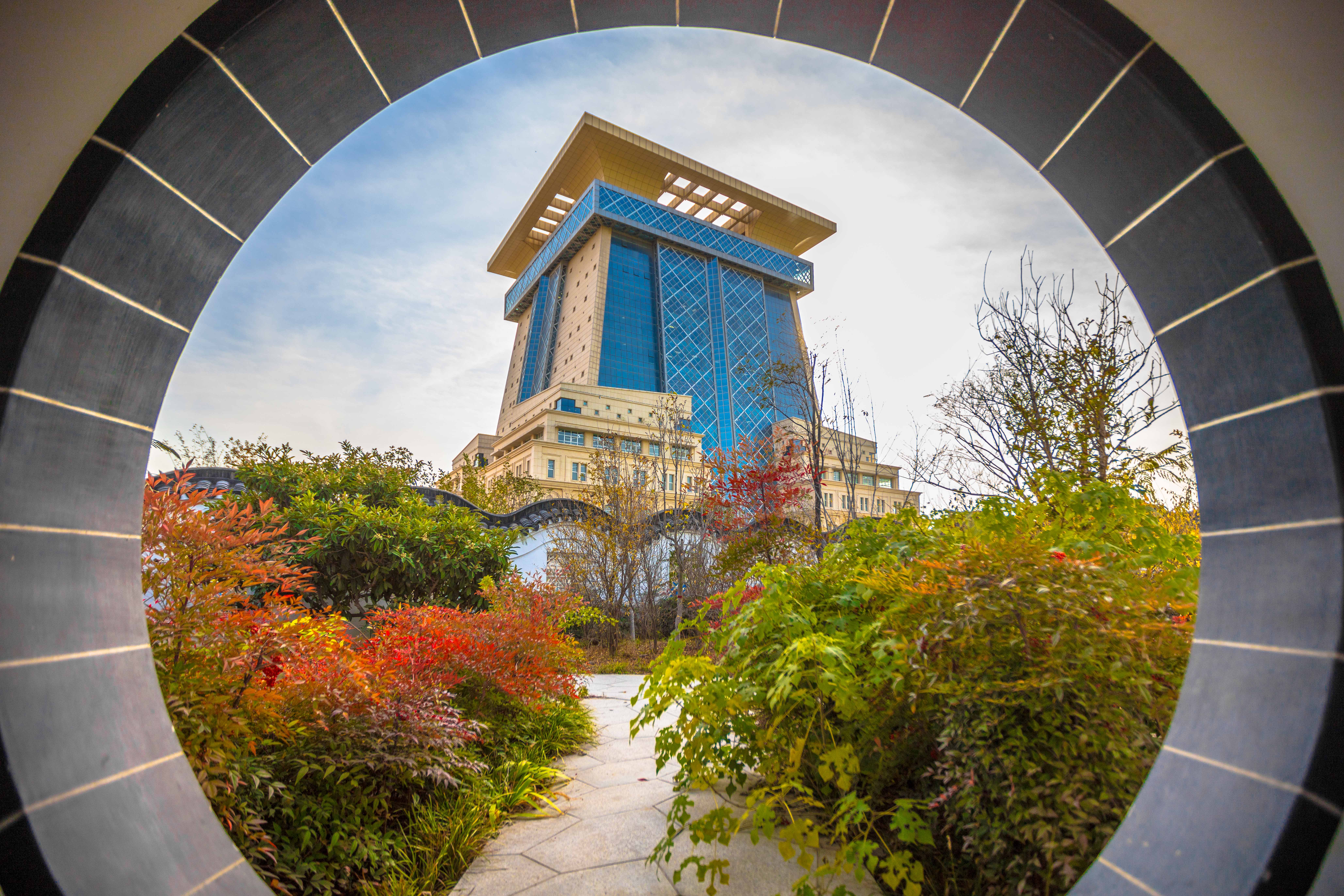 SIAS library (3)