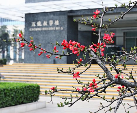 campus scenery xacm